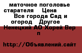 маточное поголовье старателя  › Цена ­ 3 700 - Все города Сад и огород » Другое   . Ненецкий АО,Хорей-Вер п.